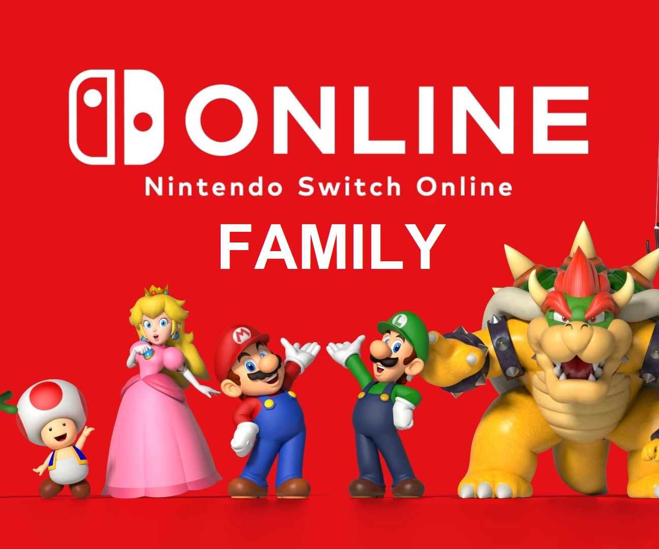 Switch Family (NIN)