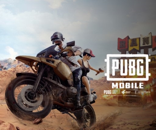 PUBG mobile (PC)